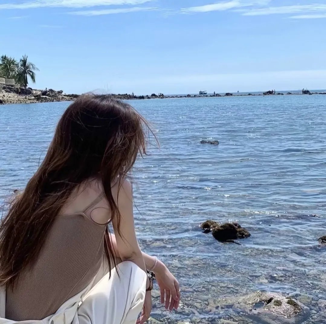 打黑风暴